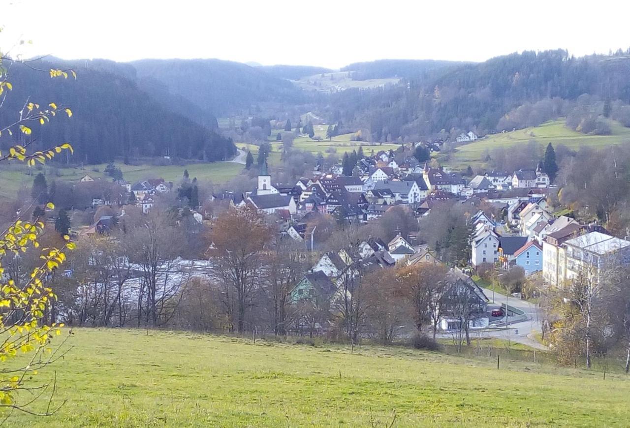 Ferienwohnung Waldrast Lenzkirch Luaran gambar