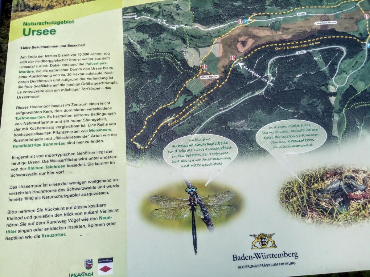 Ferienwohnung Waldrast Lenzkirch Luaran gambar