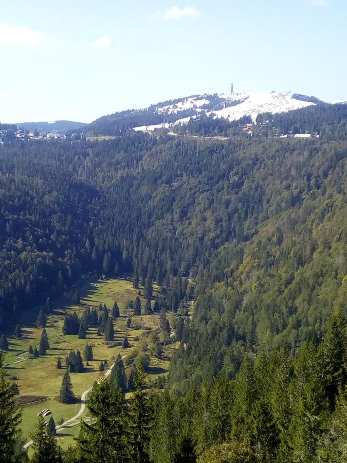 Ferienwohnung Waldrast Lenzkirch Luaran gambar