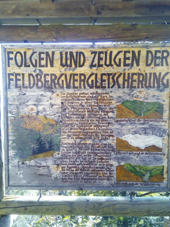 Ferienwohnung Waldrast Lenzkirch Luaran gambar